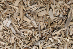 biomass boilers Plasau