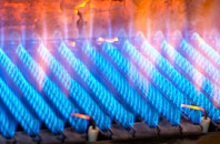 Plasau gas fired boilers