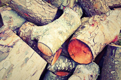 Plasau wood burning boiler costs